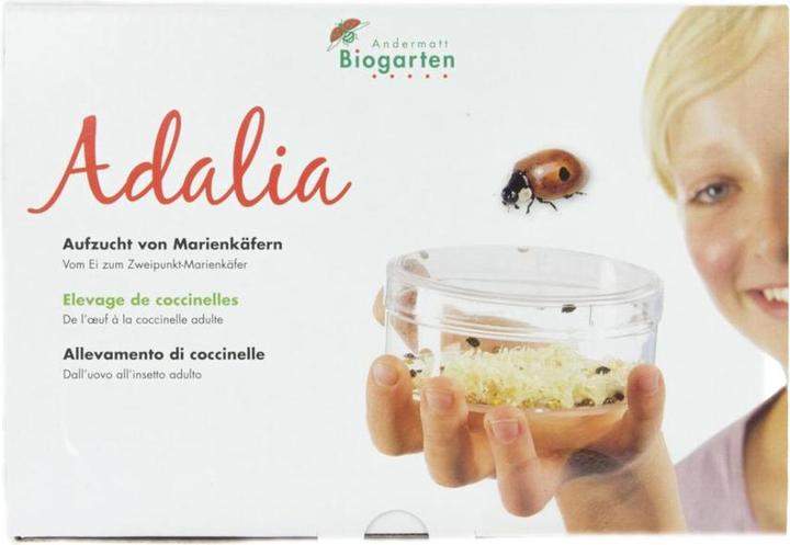 Produktbild Andermatt Marienkäferaufzuchtset Adalia Box mit Gutschein