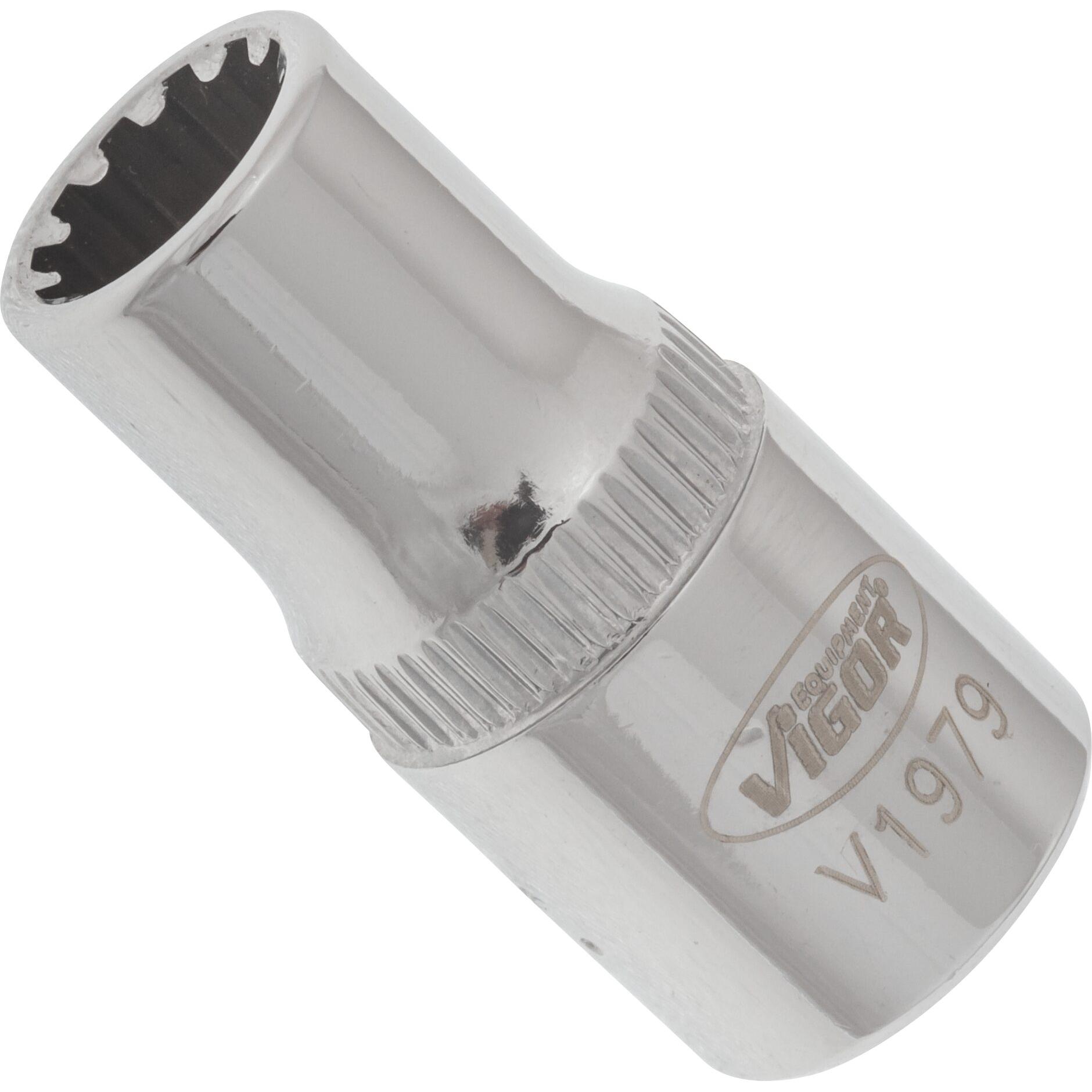 Vigor, Steckschlüssel + Stecknuss, Multiprofil Steckschlüsseleinsatz ∙ V1979 ∙ Vierkant6,3 mm (1/4 Zoll) ∙ Multiprofil ∙...