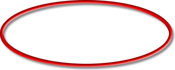 Actual product image SunSun Spare Part: CSF-500 Silica Sand Filter O-Ring 1