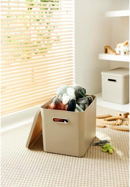 Produktbild Rotho Babydesign Spielzeugbox KAYO L Cappuccino