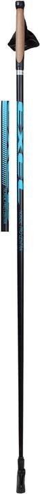 Image du produit Exel Nordic Trainer (120 cm)