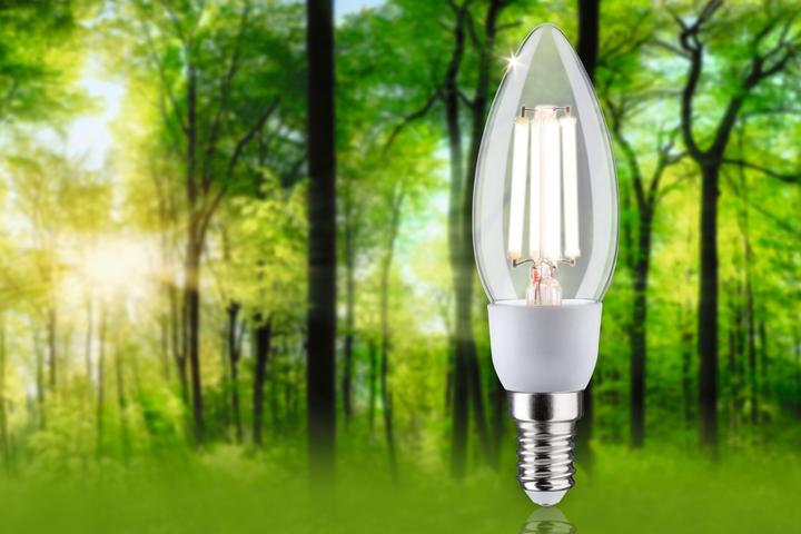 Actual product image Paulmann Eco-Line (E14, 2.50 W, 525 lm, 1 x, A)