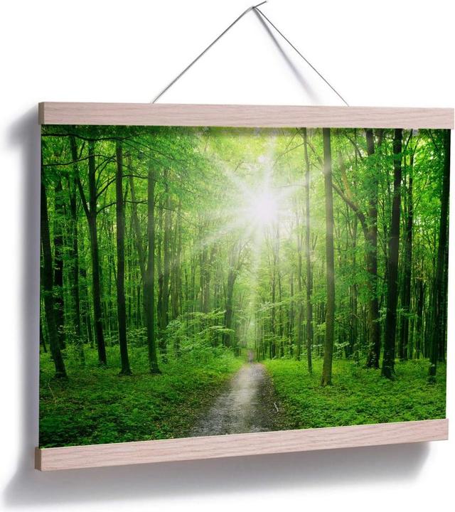 Image du produit Trenddeko Sunny Forest (60 x 50 cm)