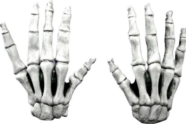 Produktbild Ghoulish Langfinger Skeletthände weiss (One Size)