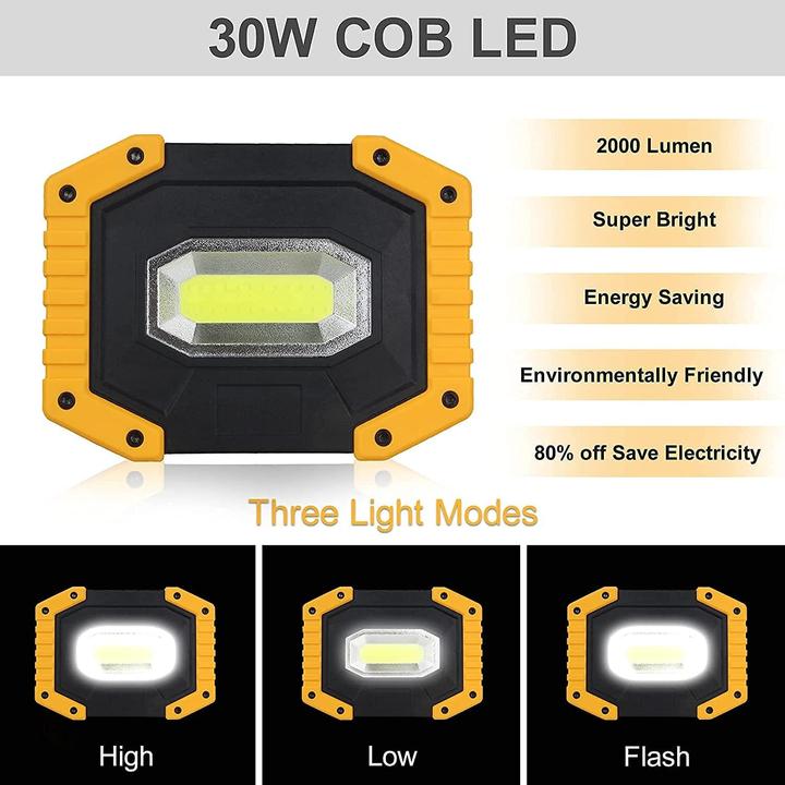 Actual product image T Sun LED construction spotlight TS-F0110 (2000 lm)