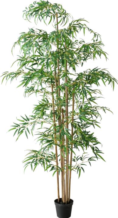 Boltze Home Topfpflanze (180 cm)