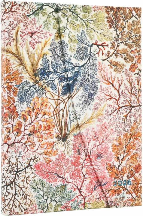 Produktbild Paperblanks Tagesagenda Midi Anemone 1 Woche auf 2 Seiten (13 x 18 cm, 1 Woche / 2 Seiten)