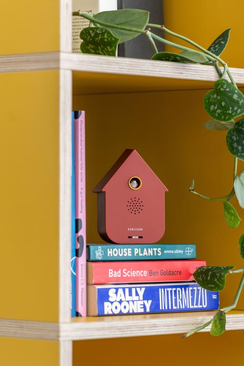 Actual product image Karlsson Sound Box Modern Cuckoo