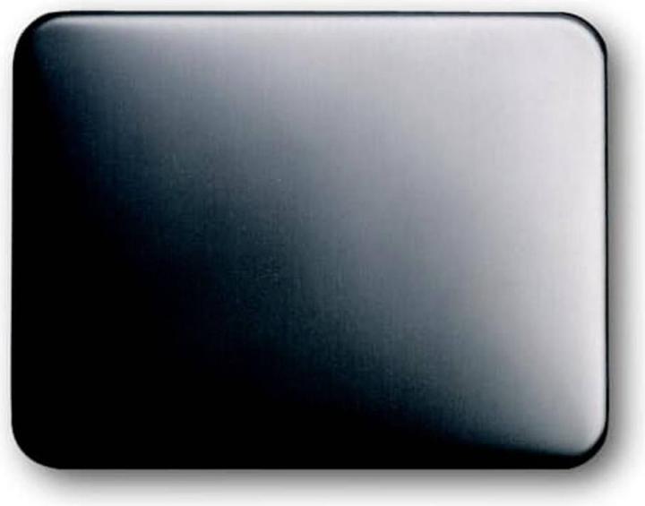 Actual product image Busch-Jaeger alpha nea rocker switch 1786-20 platinum
