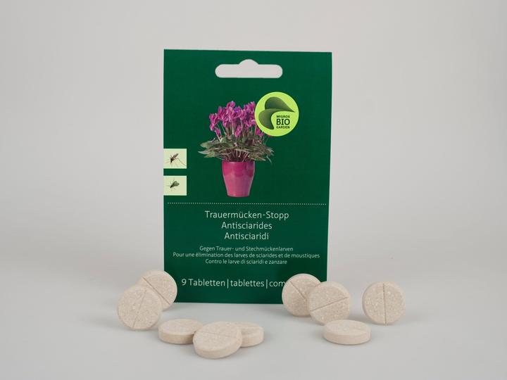 Migros-Bio Garden Ferma moscerino a fungo (Insetti nocivi, Moscerini)