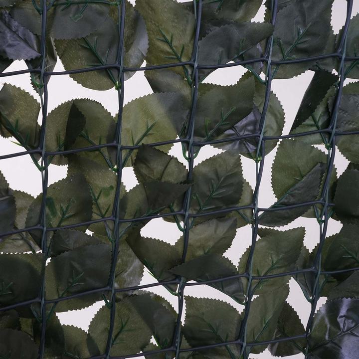 Image du produit Swisshandel24 Pare-vue de balcon, haie de hêtre pare-vue pare-vent revêtement pour terrasse clôture - 300x100cm
