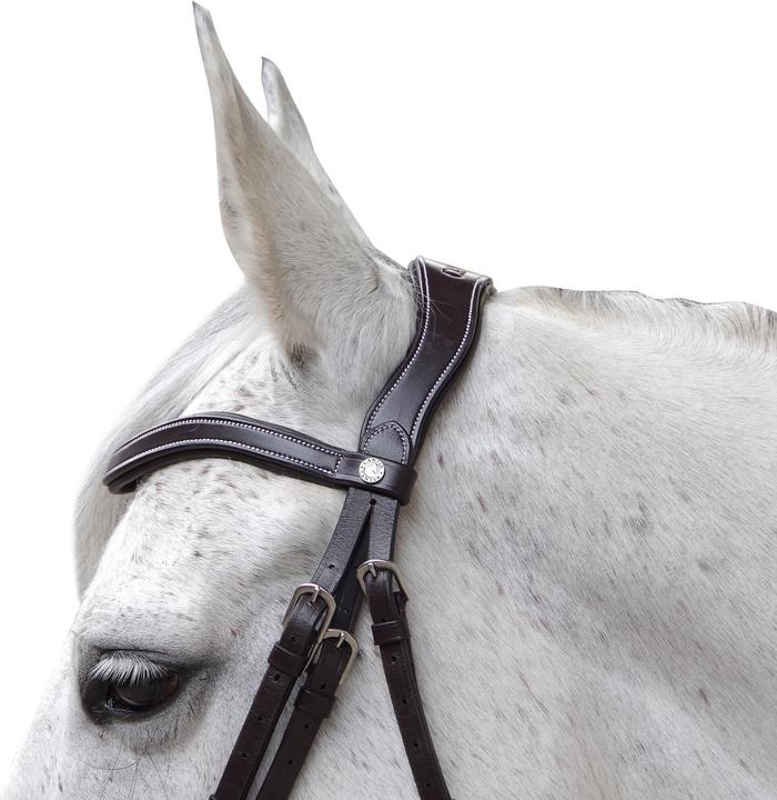 Immagine prodotto Canter Baloubet