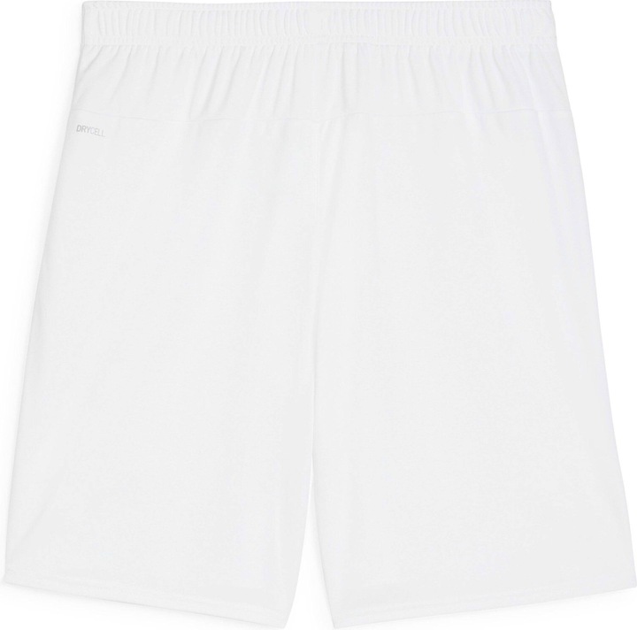Actual product image Puma teamGOAL shorts (S)