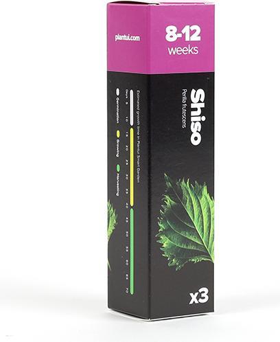 Produktbild Plantui Shiso (Kräutersamen)