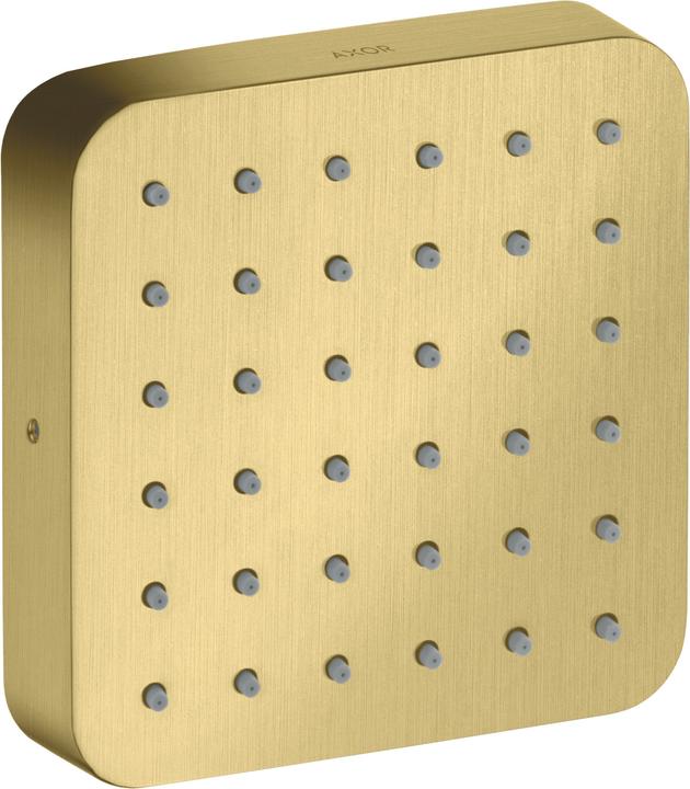 Brushed Brass