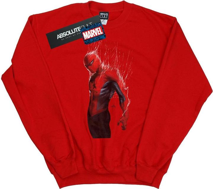 Immagine prodotto Spider-Man Web Wrap Felpa Ragazzi (116)