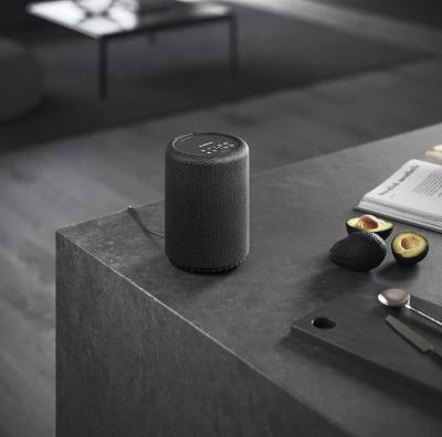 Actual product image Audio Pro A10 MkII W (Bluetooth, Airplay 2, Chromecast, Wi-Fi)