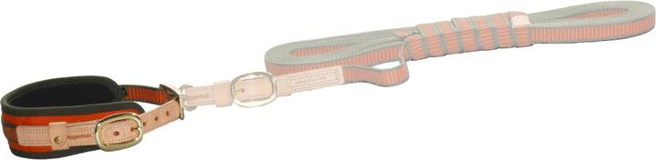 Immagine prodotto Niggeloh Collo di saldatura (XS, Cane, Lavoro)