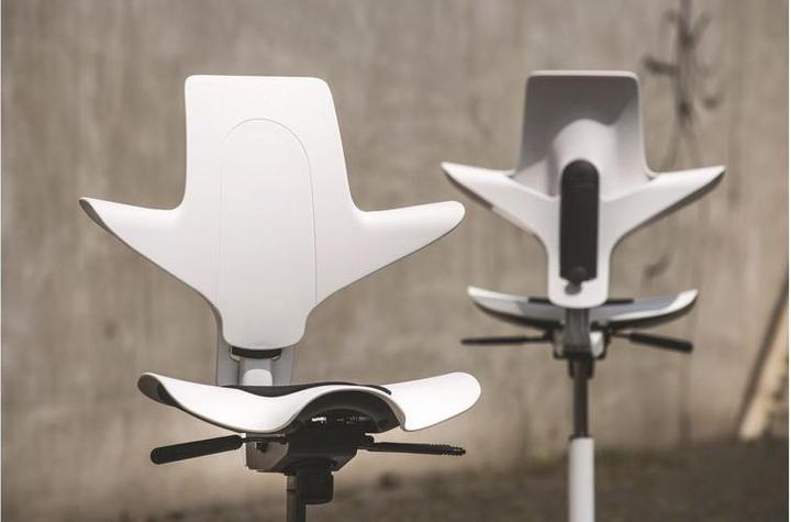 Image du produit HAG Capisco Puls 8010