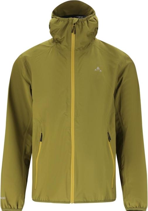 Alligator, olive