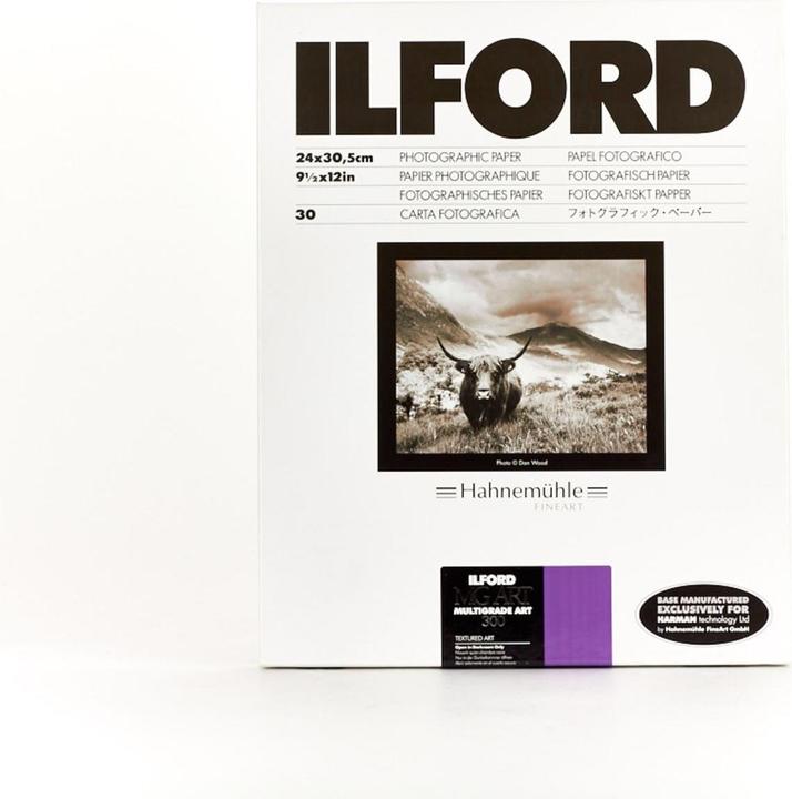 Actual product image Ilford MG Art 300 24x30cm 30 sheets (300 g/m², 30 pcs.)