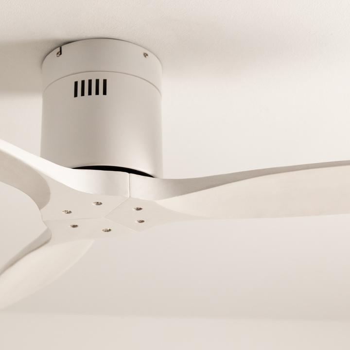 Actual product image Create Wind Calm (50 dB)