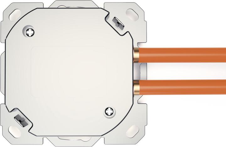 Actual product image Digitus Network socket