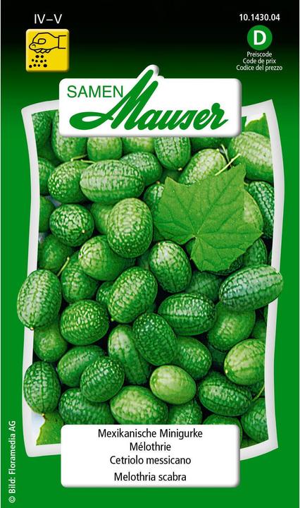 Mexican Minigouche (Vegetable seeds)