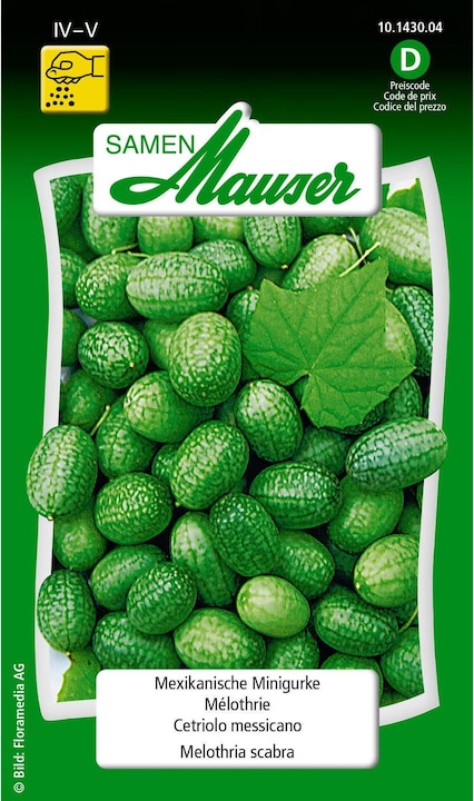 Mexican Minigouche (Vegetable seeds)