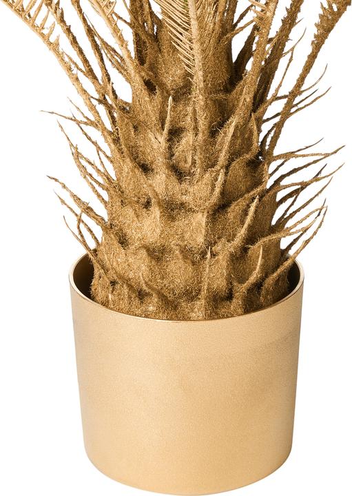 Produktbild Beliani Areca Palm Tree (70 cm)