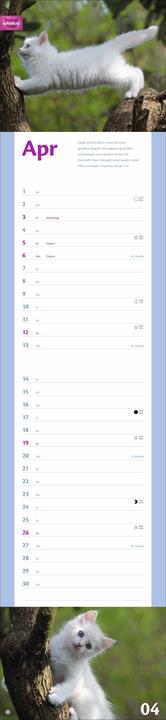 Produktbild Whiskas Katzenleben Kalender 2026 (Harter Einband, Deutsch)