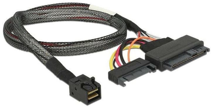 Produktbild Delock SFF-8643 auf U.2 Port