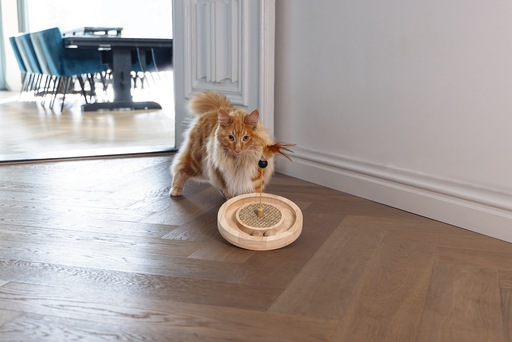 Immagine prodotto Designed by Lotte Winni (Catmint giocattolo)