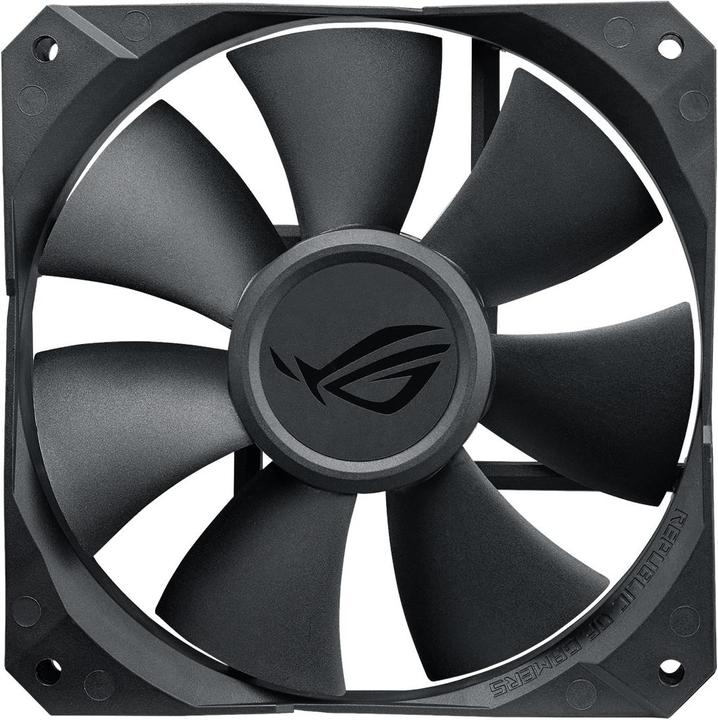 Actual product image ASUS ROG RYUO 240