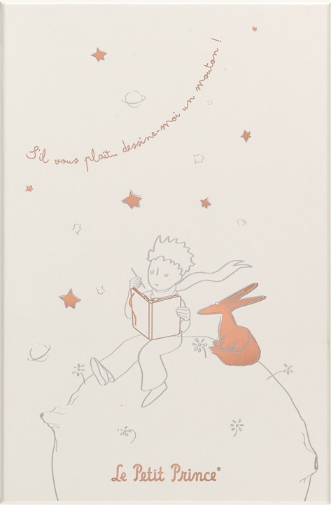 Actual product image Moleskine The Little Prince (130 x 210 mm, Lined, Hardcover)
