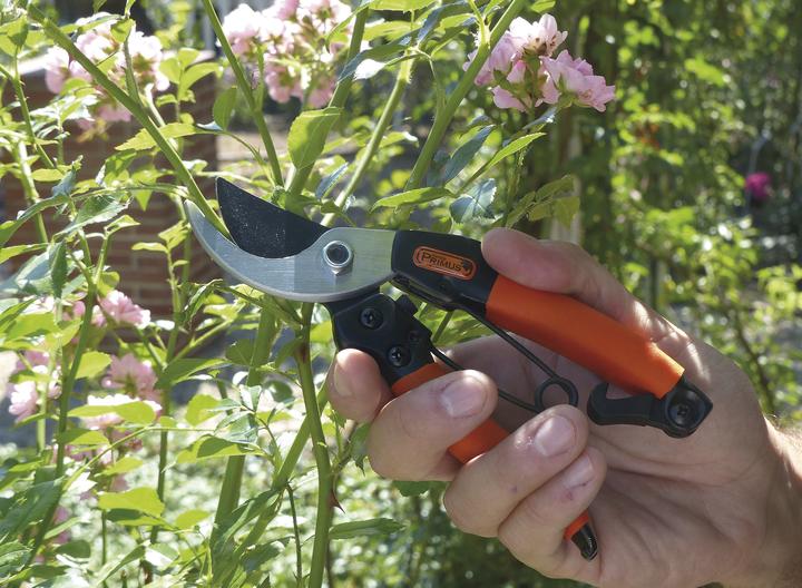 Produktbild Garten Primus Damengartenschere "Königin der Rosen"