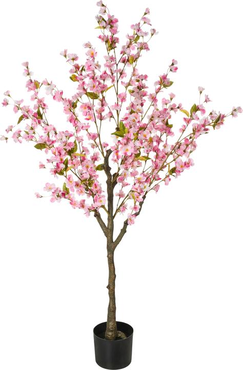 Immagine prodotto Beliani Cherry Tree (152 cm)