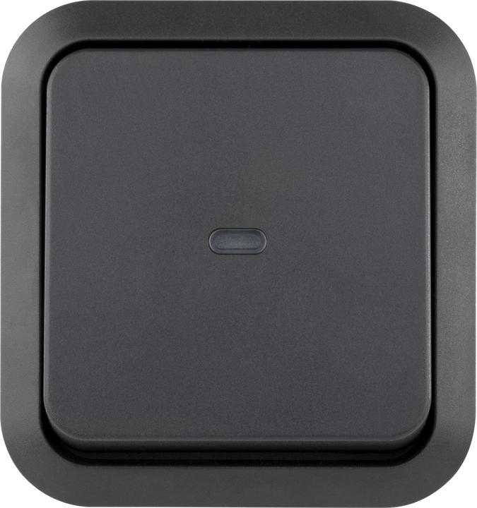 Produktbild REV Aufputz-Feuchtraum Heizungsnotschalter IP55