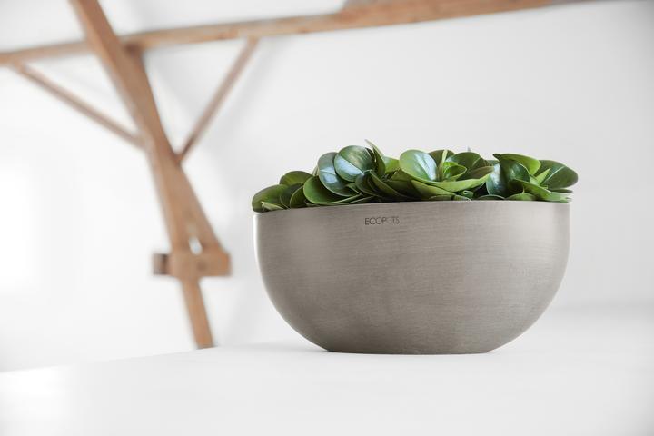 Produktbild Ecopots Sofia (30 x 13 x 13.50 cm)