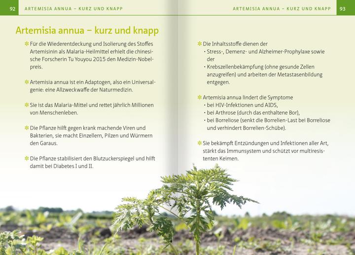 Produktbild Artemisia annua - Heilpflanze der Götter. Kompakt-Ratgeber (Deutsch, Barbara Simonsohn, 2024)