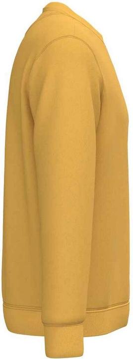 Actual product image Native Spirit Unisex Adult Crew Neck Sweatshirt (S)