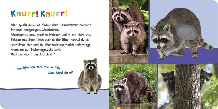 Actual product image Listen in, who can that be? - Cuddly animals (German)