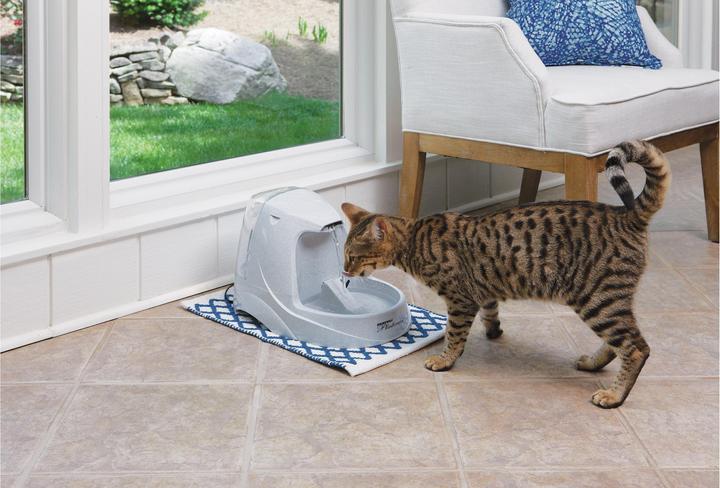 Image du produit Drinkwell Platinum (500 cl)