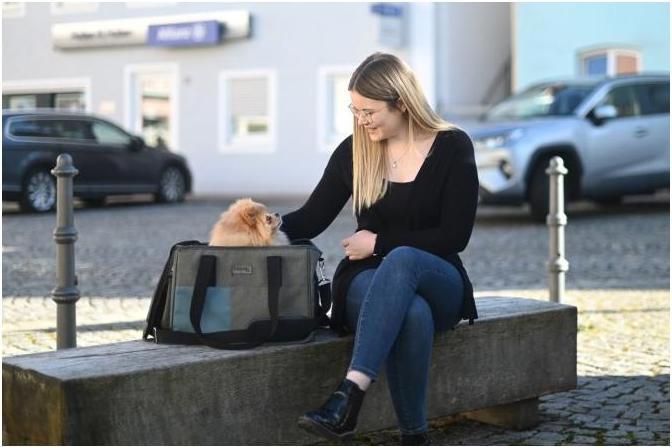 Productafbeelding Kerbl Draagtas vakantie (Hond, Reflectoren, Wasbaar)