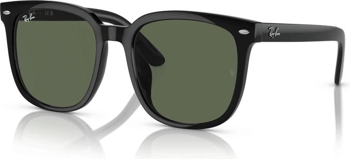 Image du produit Ray Ban RB4401D