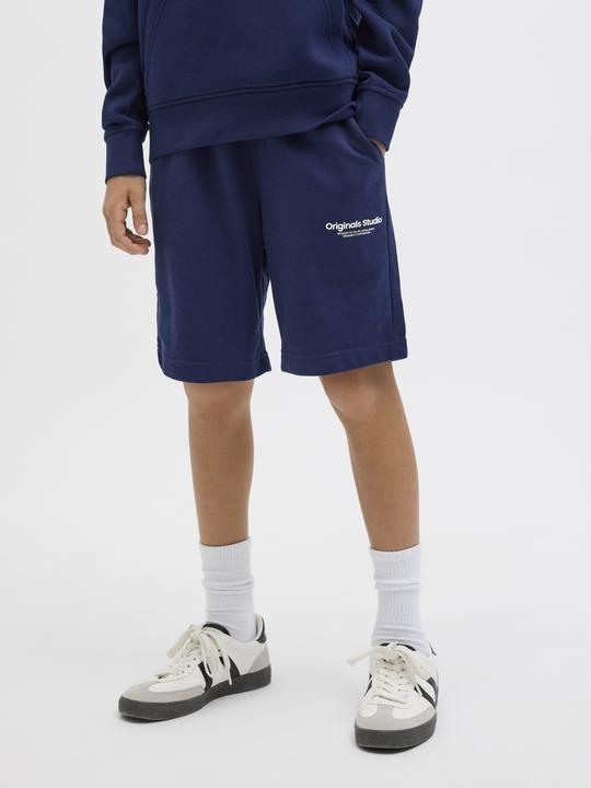 Image du produit Jack & Jones Jpstvesterbro Sweat Shorts Gms Sn Jnr (176)