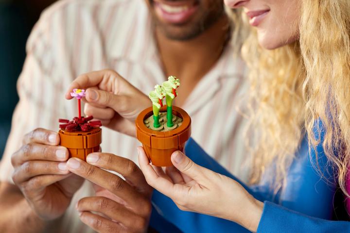 Immagine prodotto LEGO Mini piante (10329, LEGO Icons, LEGO Botanical)