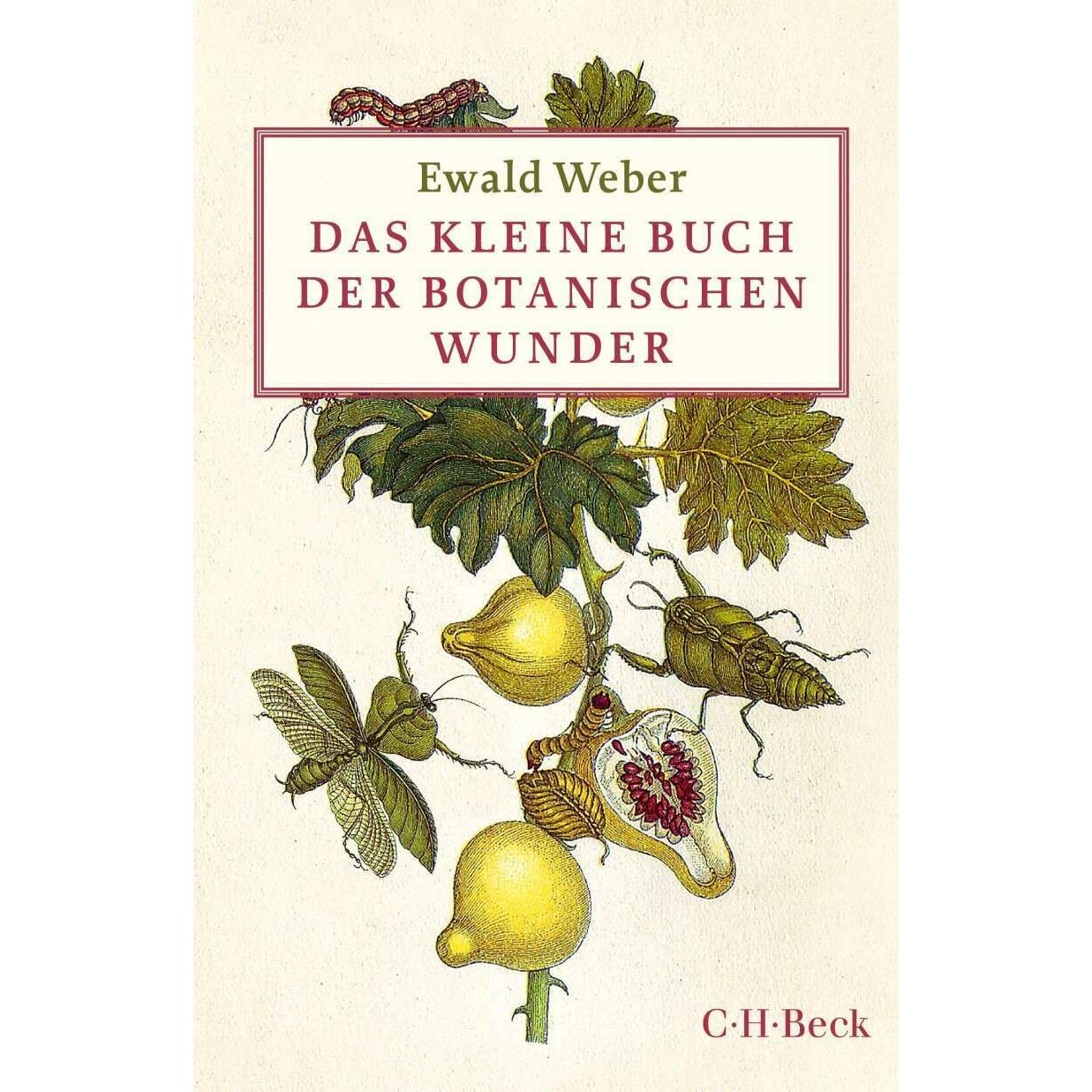 Das kleine Buch der botanischen Wunder, Fachbücher von Ewald Weber