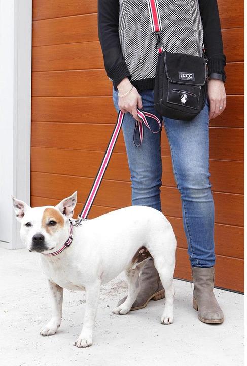 Immagine prodotto Doog Borsa a tracolla nera (Cane)