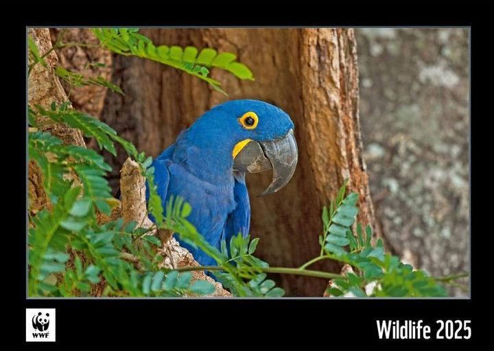 Produktbild WWF Wildlife 2025